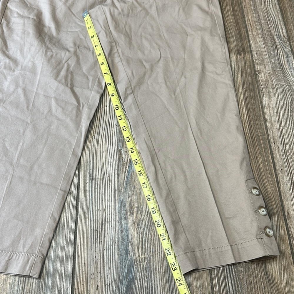Ann Taylor Loft Original Crop Pants 10 Chino New Khaki Cropped - Picture 3 of 8